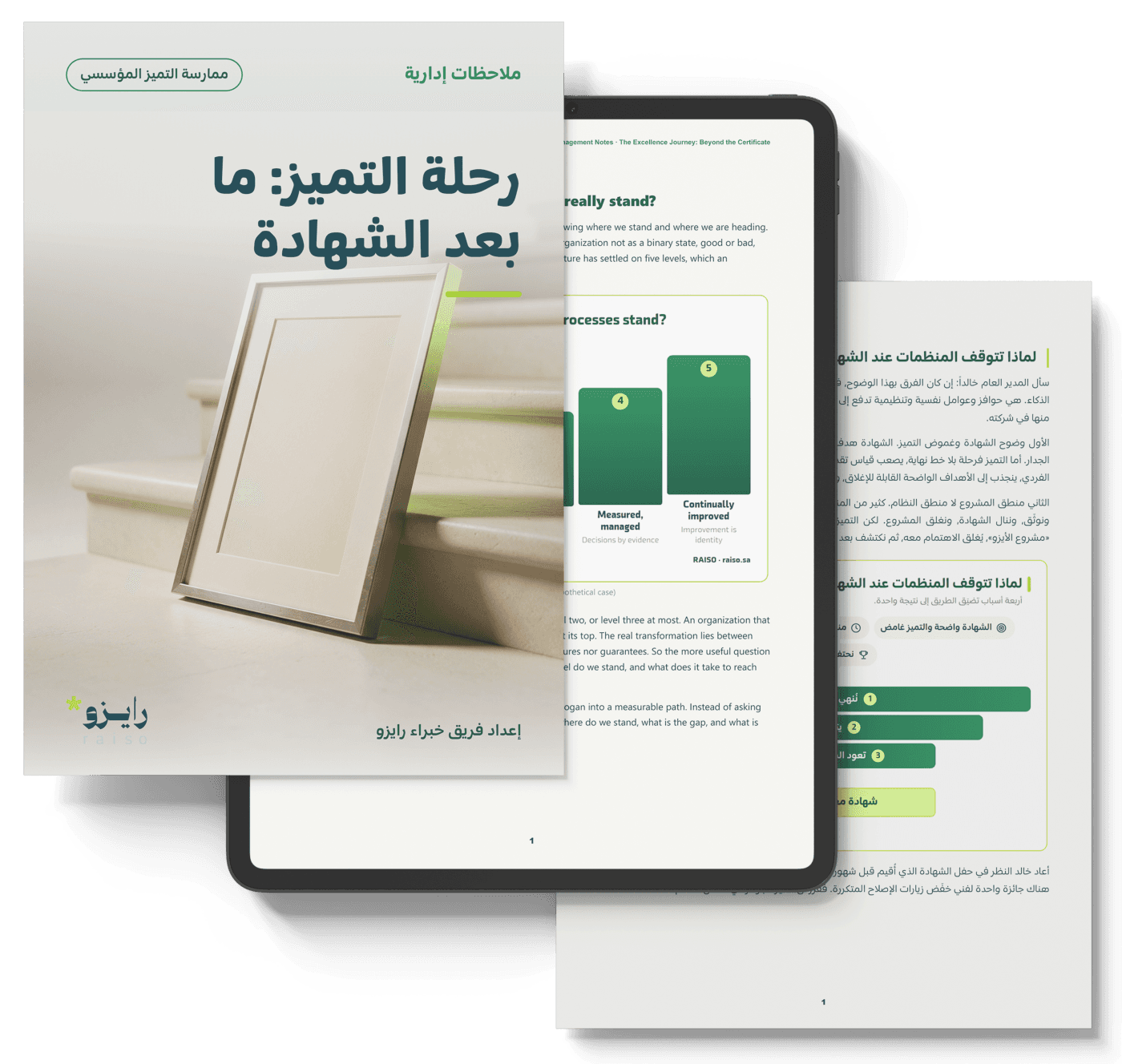 رحلة التميز: ما بعد الشهادة